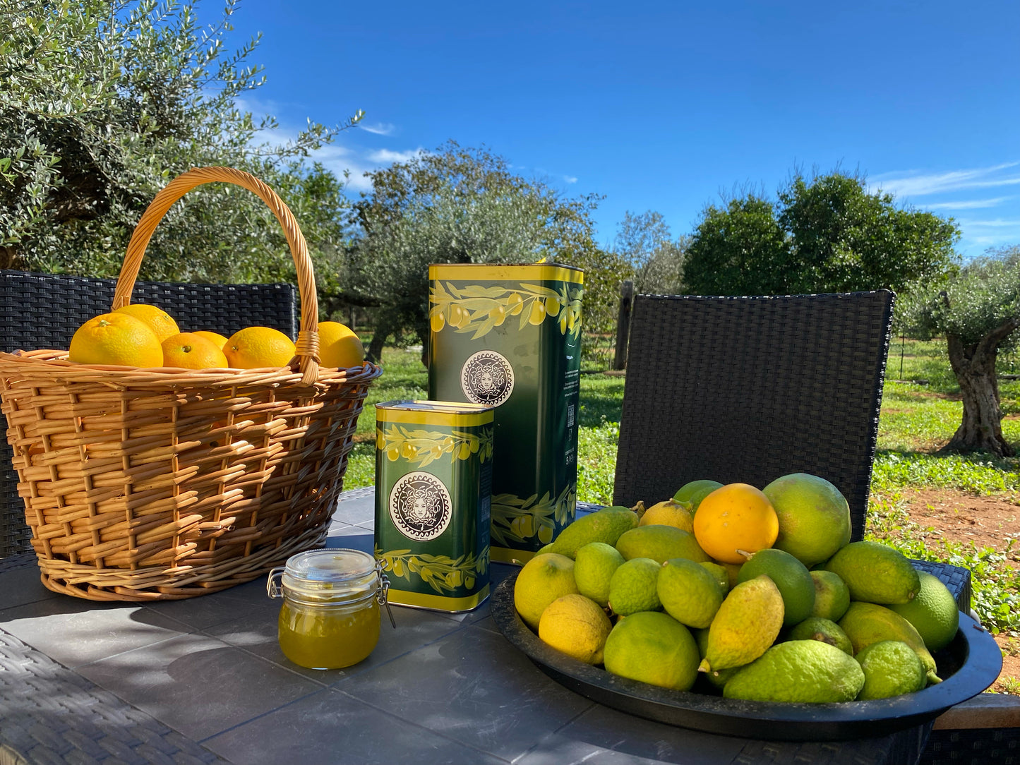 Abonnés TikTok « Ultra Rapide » + Premium