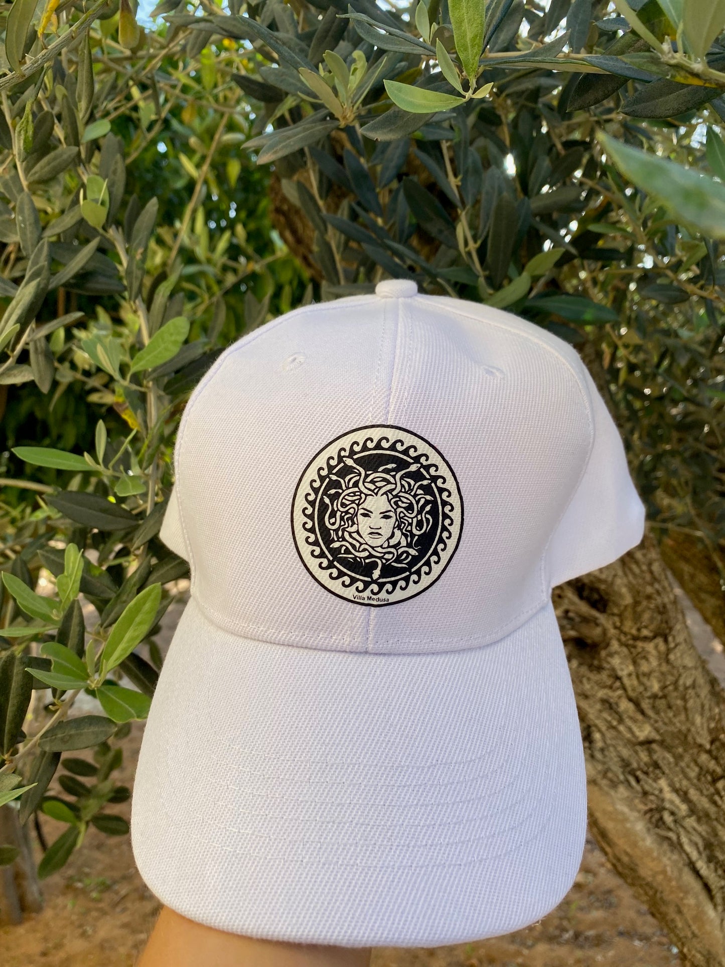 Abonnés TikTok « Ultra Rapide » + Premium