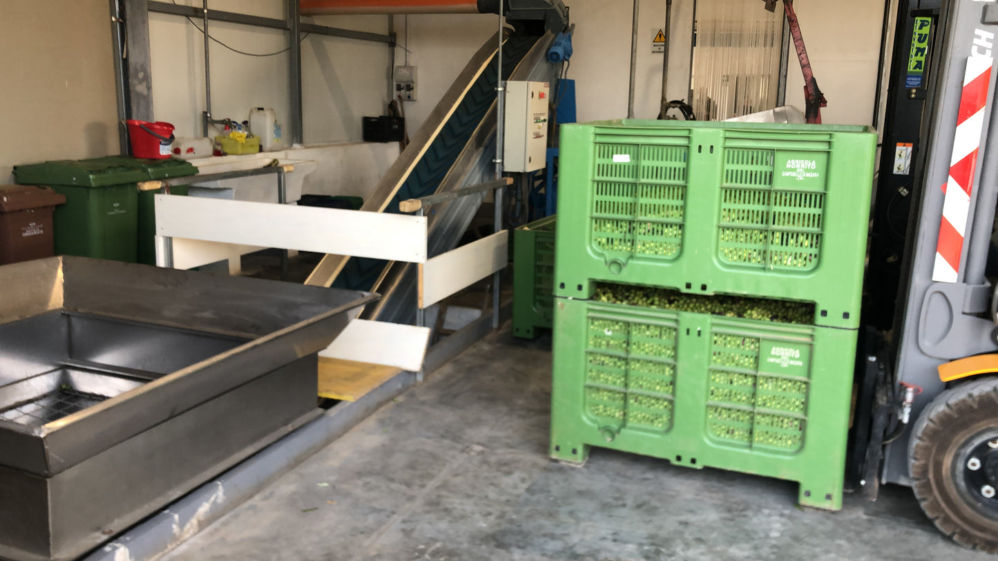 Abonnés TikTok « Ultra Rapide » + Premium 