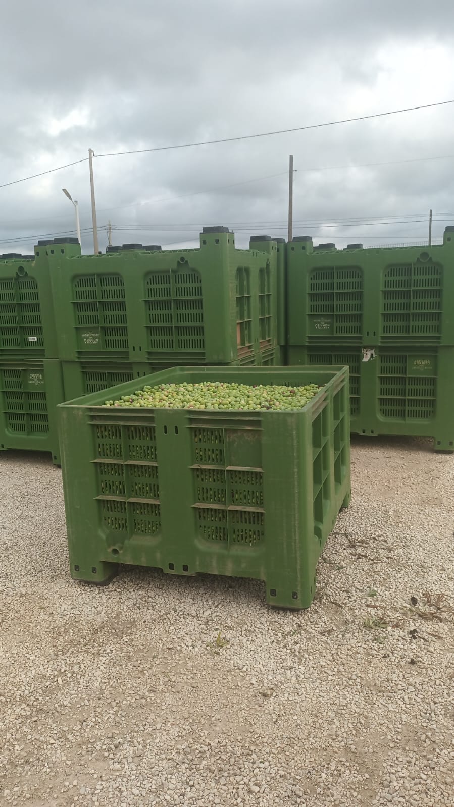 Abonnés TikTok « Ultra Rapide » + Premium 