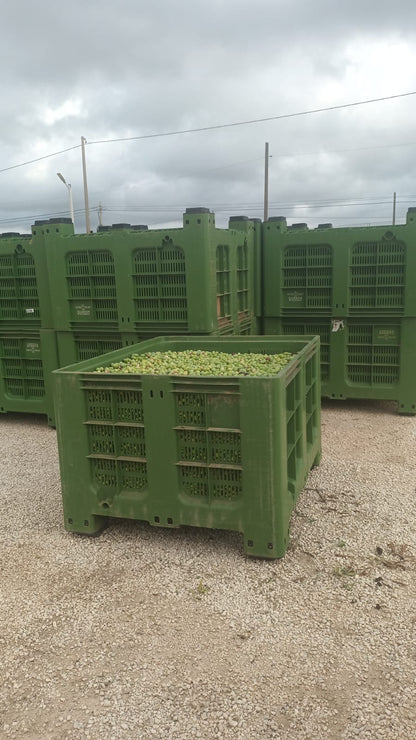 Abonnés TikTok « Ultra Rapide » + Premium 