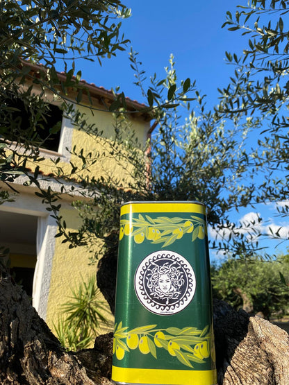 Abonnés TikTok « Ultra Rapide » + Premium 