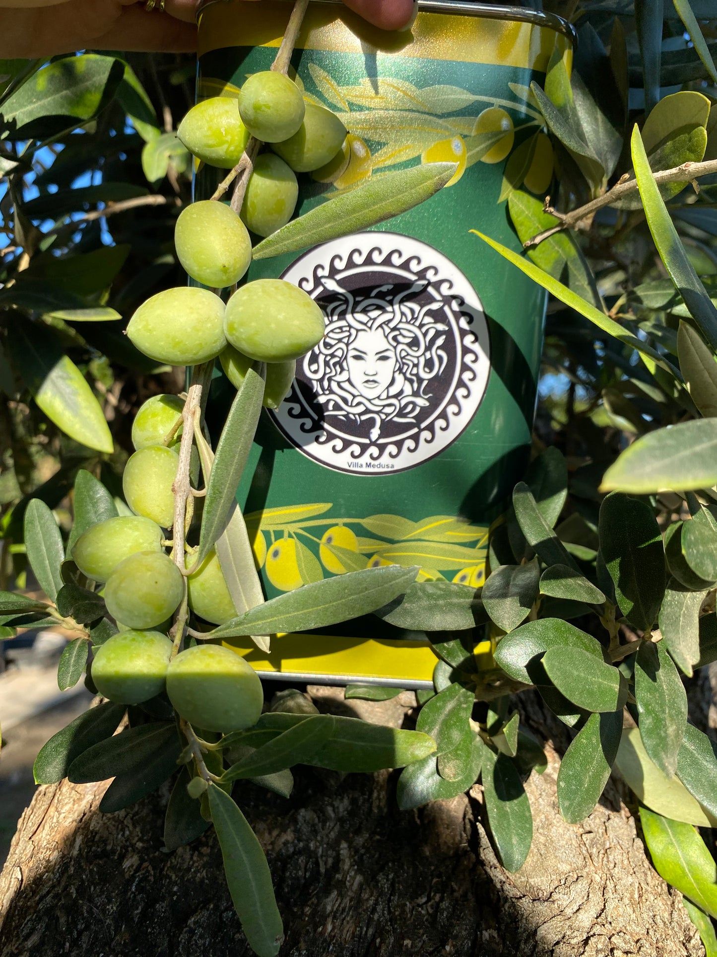 Abonnés TikTok « Ultra Rapide » + Premium 